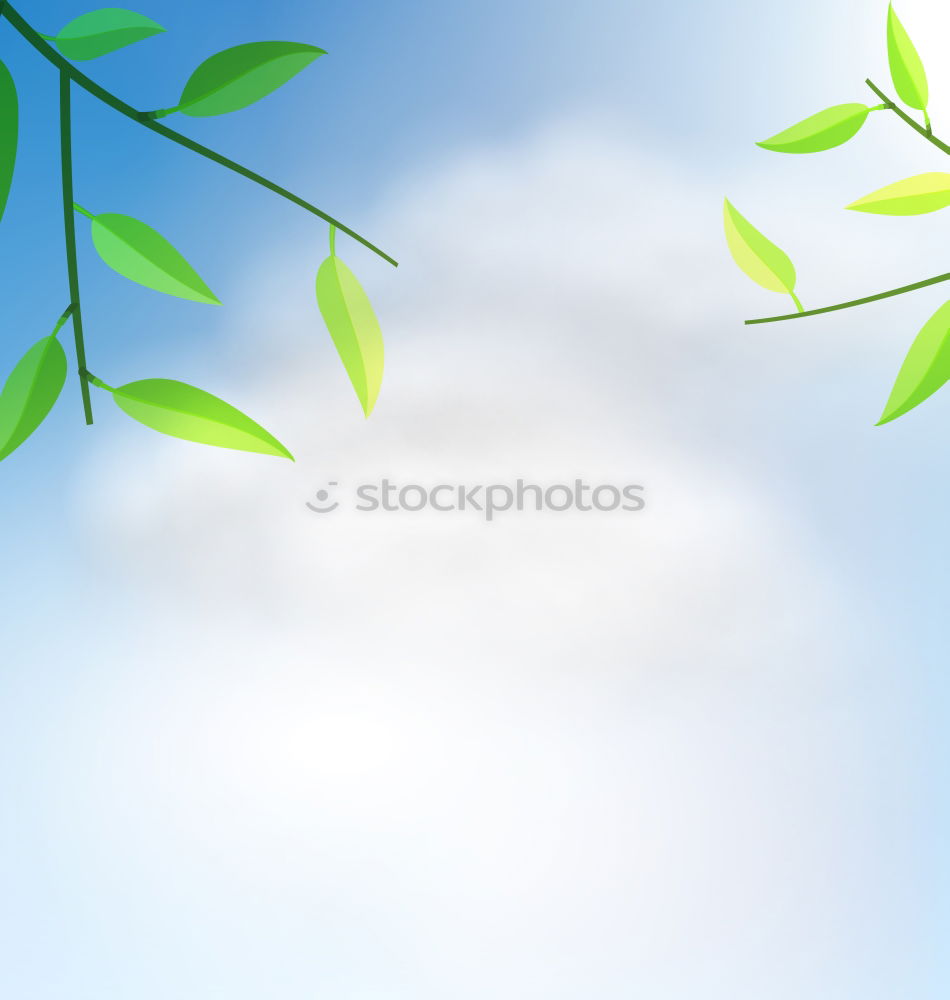 Similar – Image, Stock Photo birch Vacation & Travel