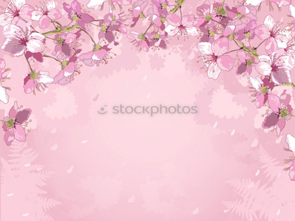 Similar – Image, Stock Photo nicely arranged easter eggs on pink with flowers and blossoms