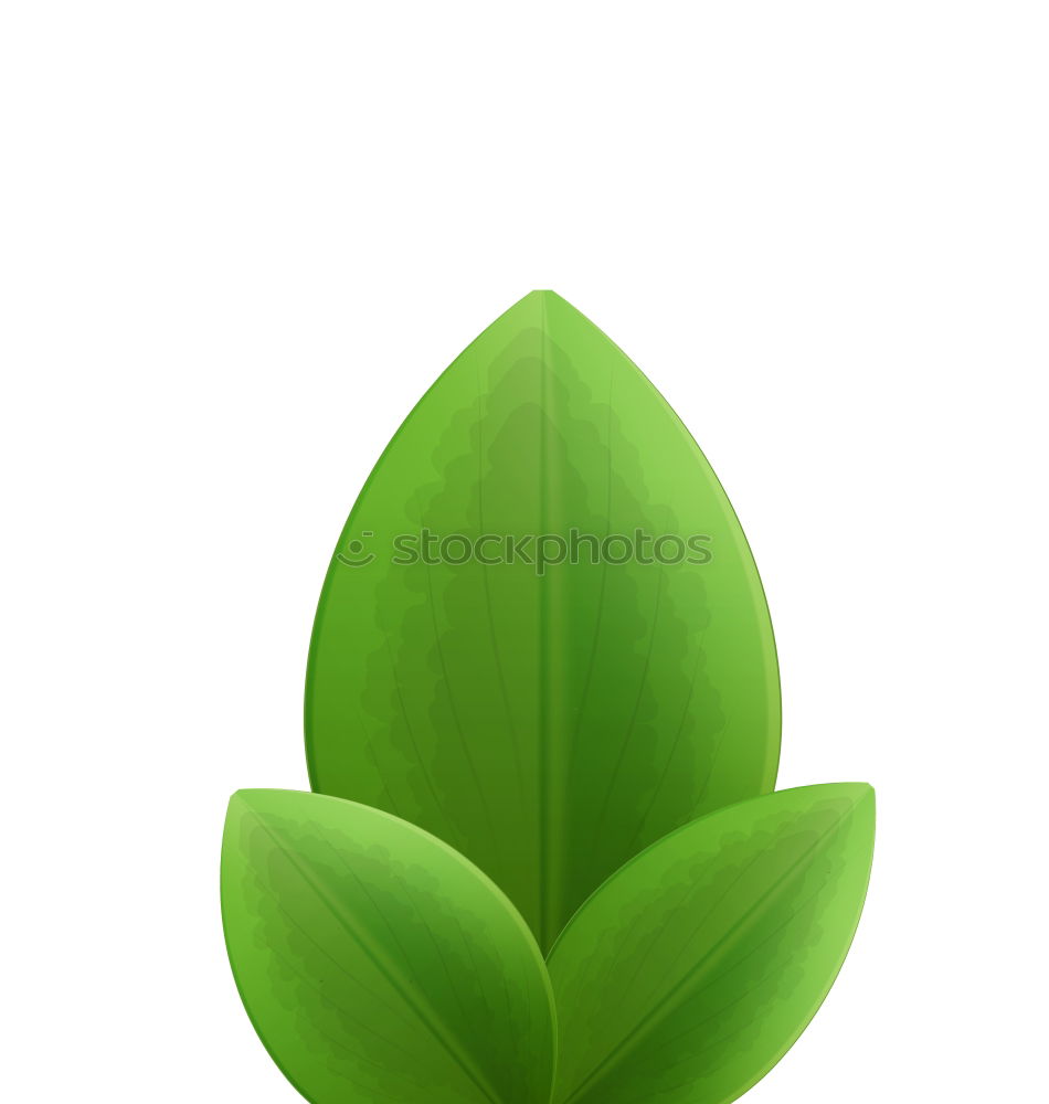 Similar – Image, Stock Photo lily of the valley