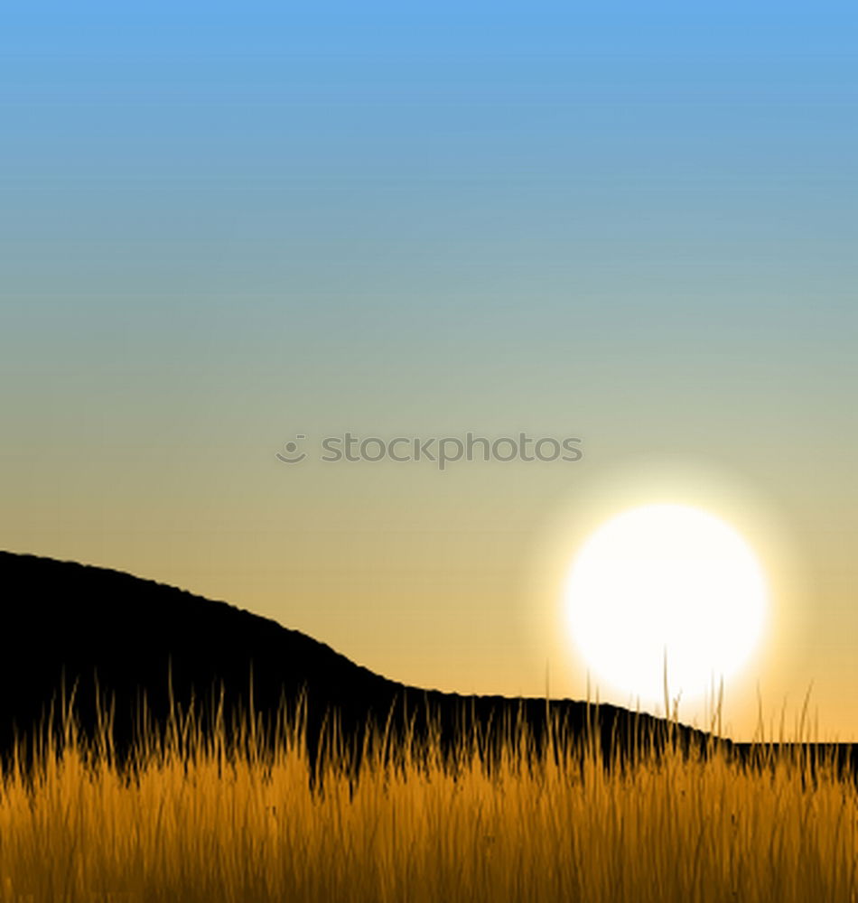 Similar – Image, Stock Photo Sunset, grass, reed, siluette, sunset,