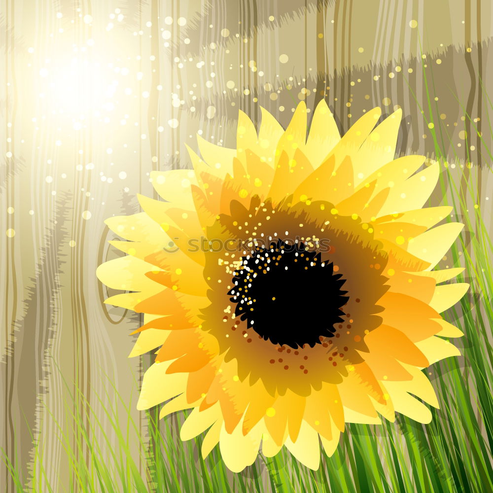 Similar – Image, Stock Photo awesome sunflower III