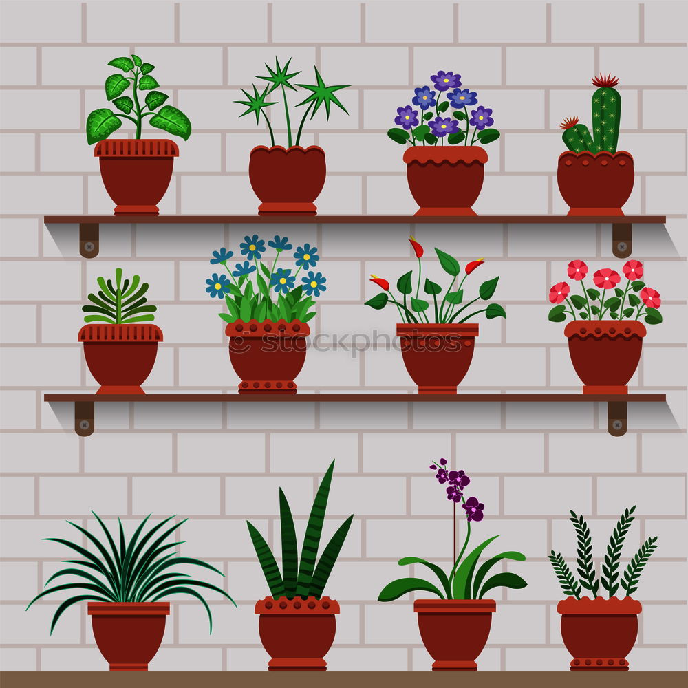 Similar – Image, Stock Photo flower and flower pot in the balcony