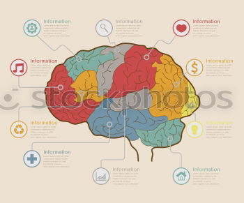 Similar – Image, Stock Photo Left and right brain hemisphere illustrated on paper