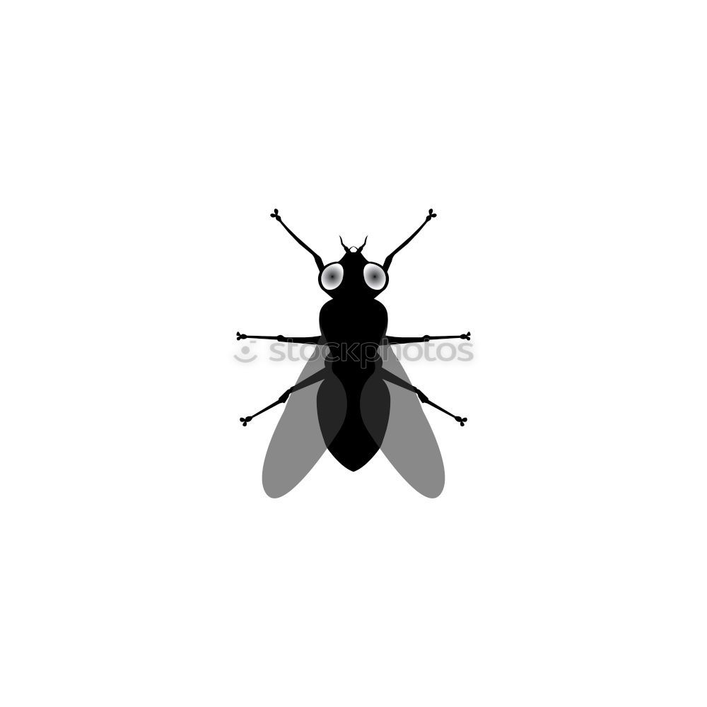 Similar – Image, Stock Photo My bug, your bug… Bow