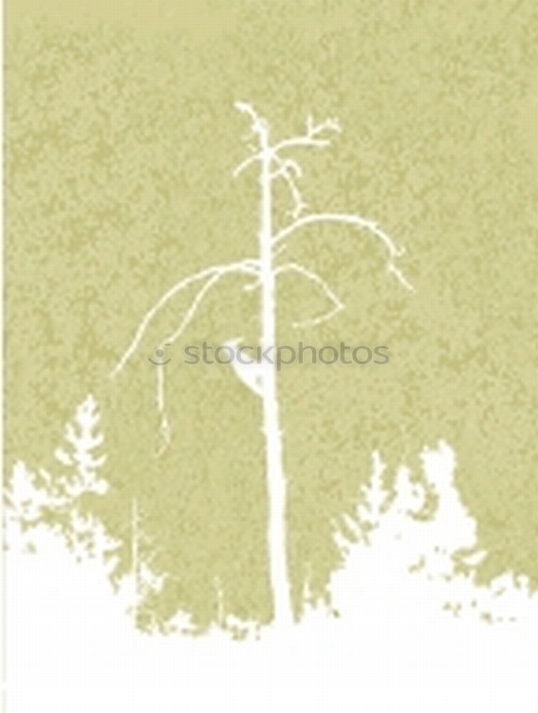 Similar – Goldlaub Natur Baum Blatt