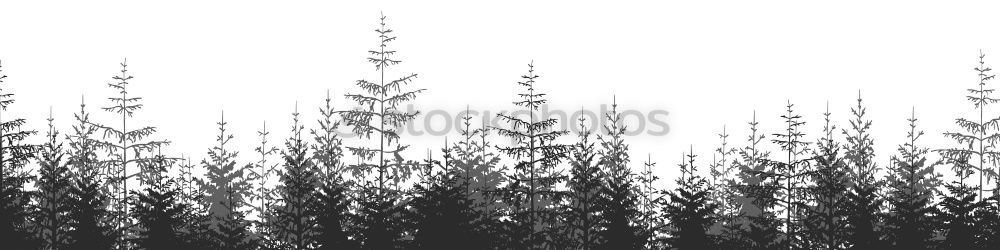 Foto Bild Grasspitzen Seil Umwelt