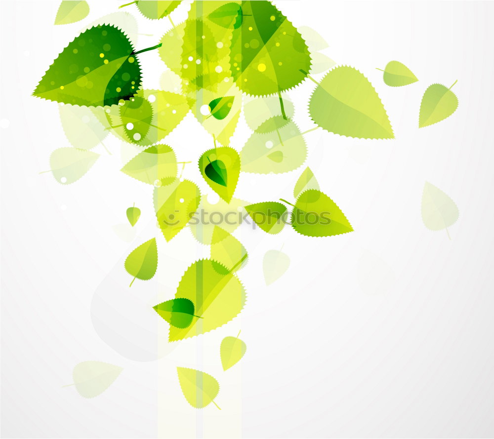 Similar – Image, Stock Photo A leaf of freshness Basil
