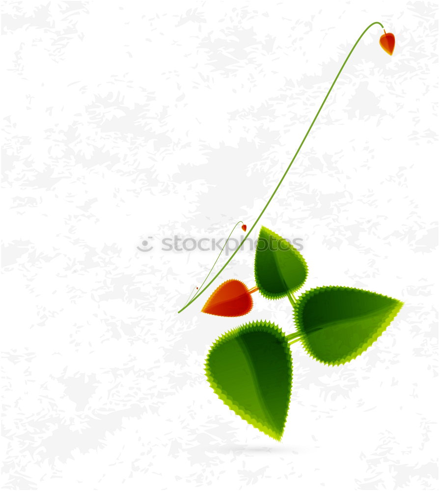 Similar – Image, Stock Photo lucky clover Leaf Positive