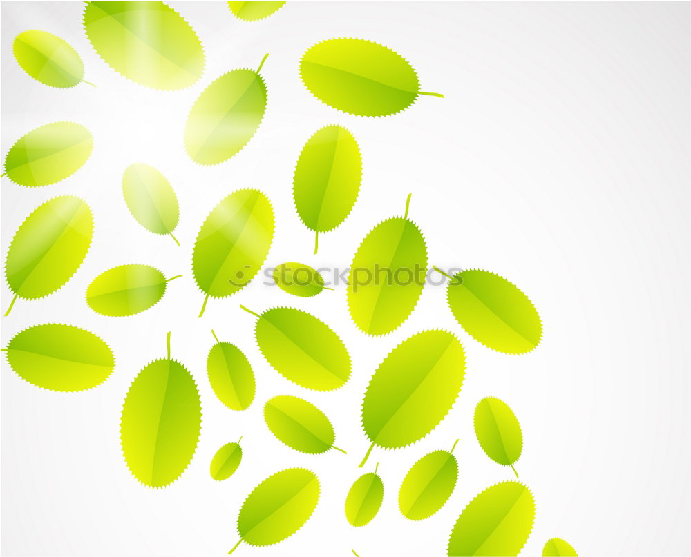 Similar – Image, Stock Photo A leaf of freshness Basil