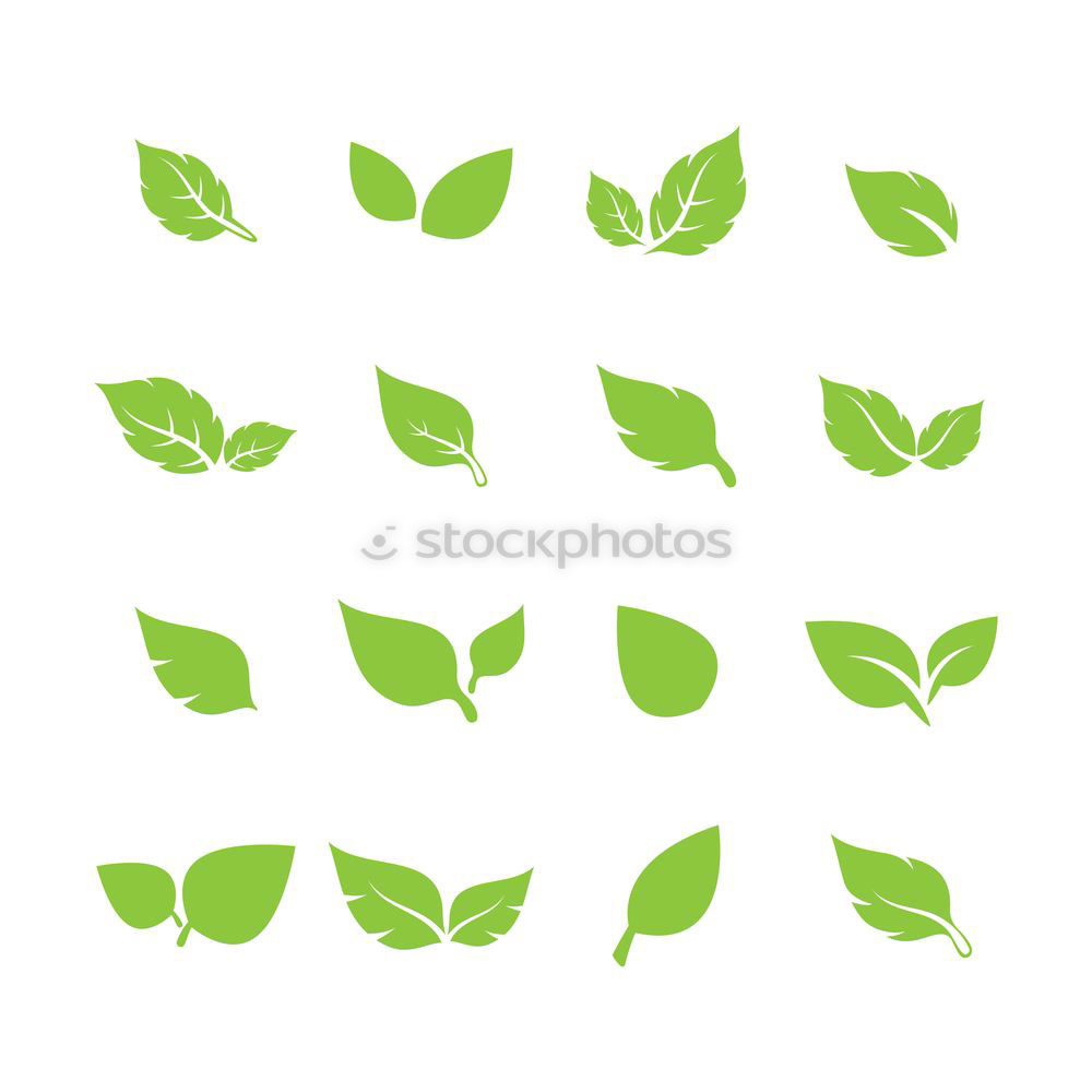 Similar – Image, Stock Photo Green leaves with drops of water on a white wooden background