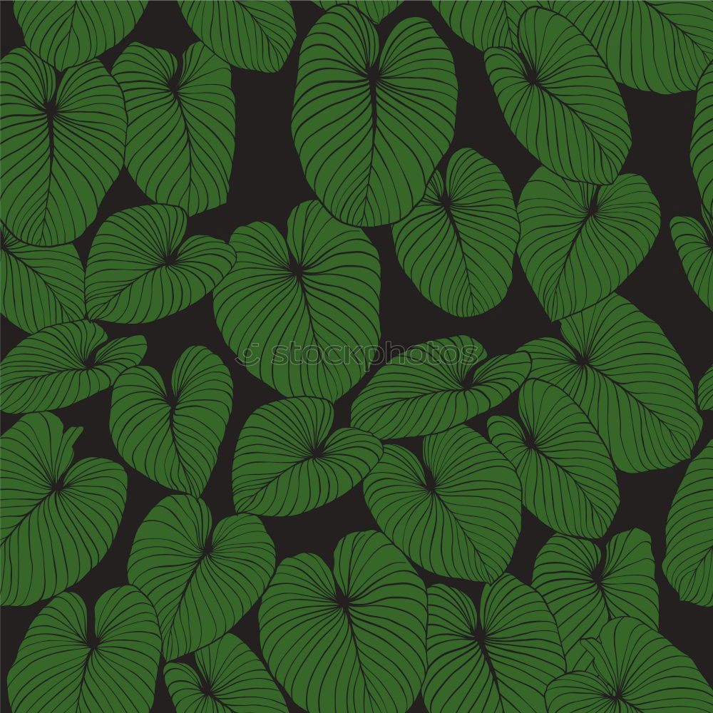 Similar – Image, Stock Photo Top view of green leaves