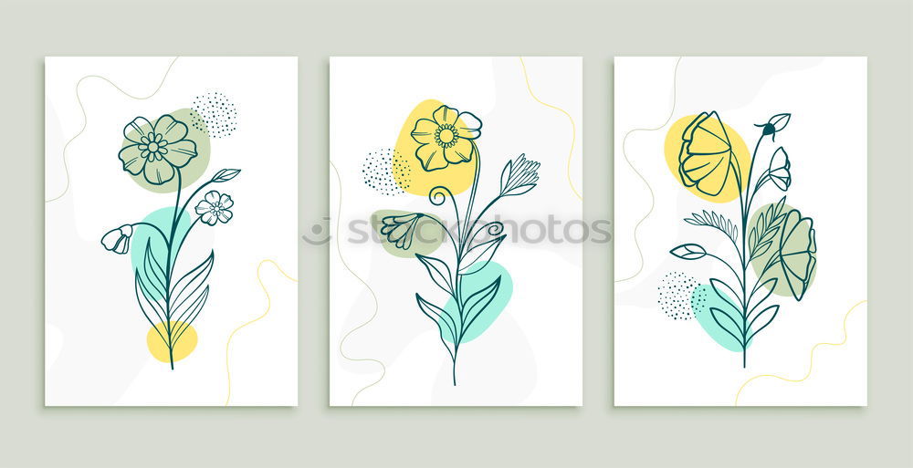 Similar – Image, Stock Photo dried flowers in a glass frame