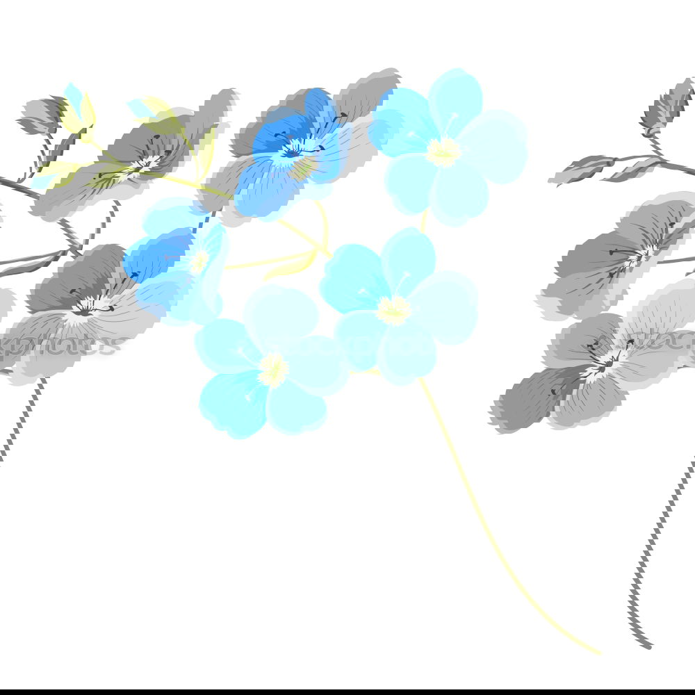 Similar – Image, Stock Photo Marsh forget-me-not, Myosotis palustris, Aquatic plants