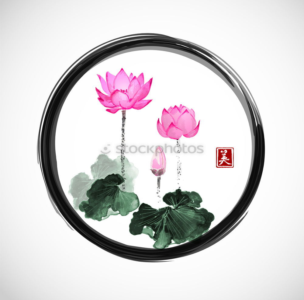 Similar – Image, Stock Photo orchid Elegant Style