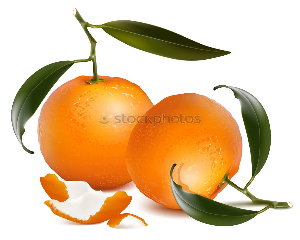 Similar – Image, Stock Photo Orange with leaf Fruit