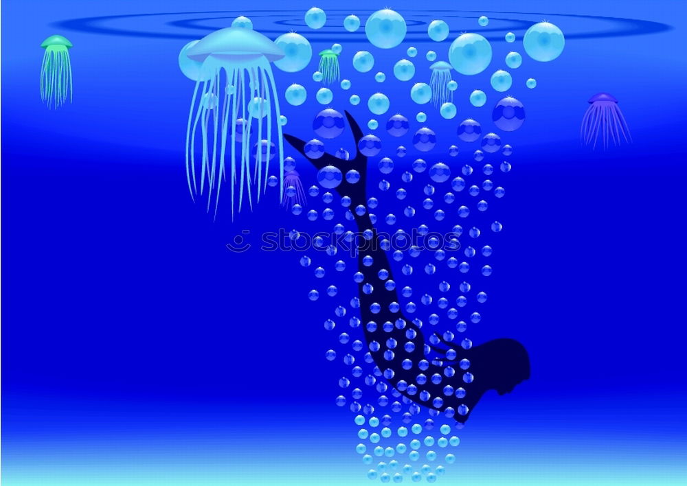 Similar – Image, Stock Photo jellyfish Hongkong Fish