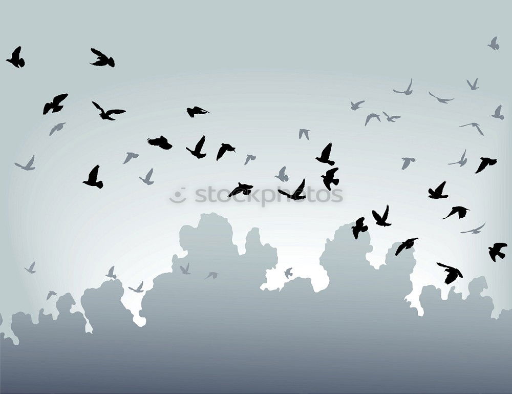 Similar – Image, Stock Photo Foregel swarm flying towards the sun