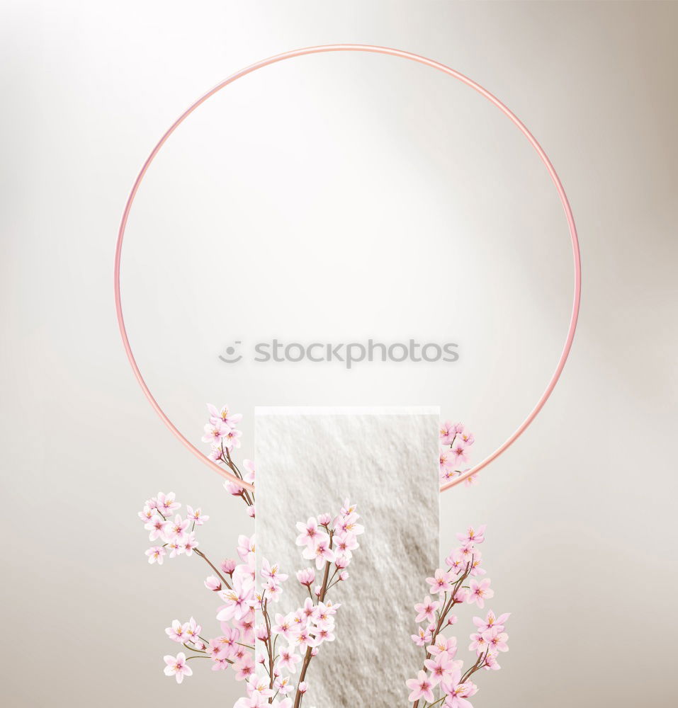 Similar – Image, Stock Photo Pink spring flowers frame on white