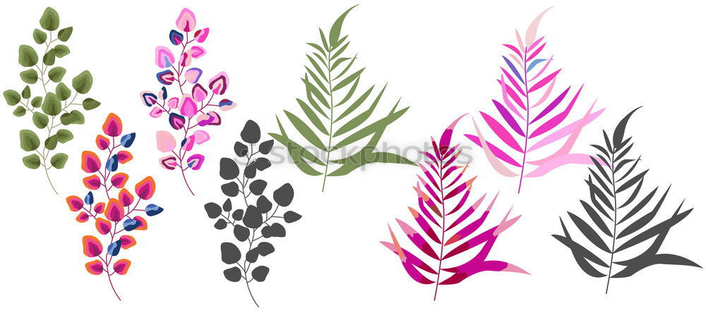 Similar – Image, Stock Photo Purple palm leaves on blue background