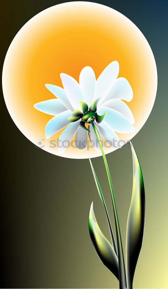 Similar – Image, Stock Photo Wilt #2 Tulip Blossom