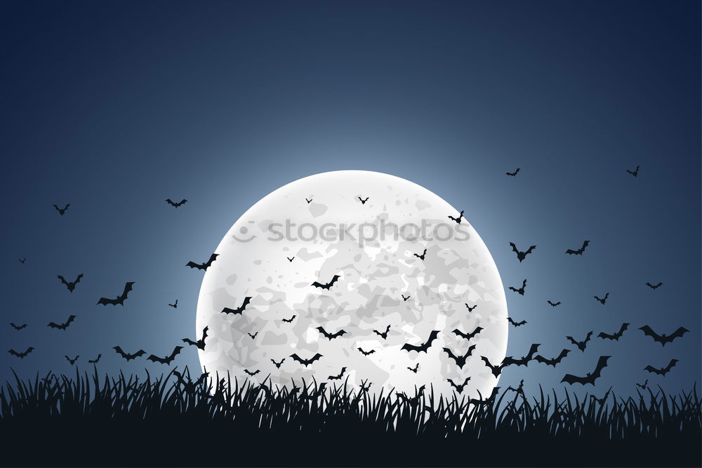 Similar – Image, Stock Photo Bremen night shift Crow