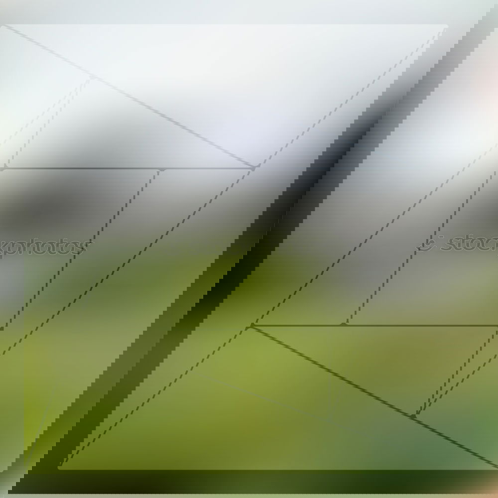 Similar – Foto Bild Bitte lächeln Fotograf