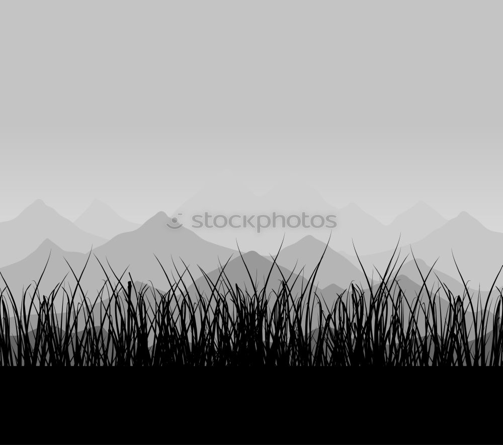 Similar – Image, Stock Photo swimming with mountain view