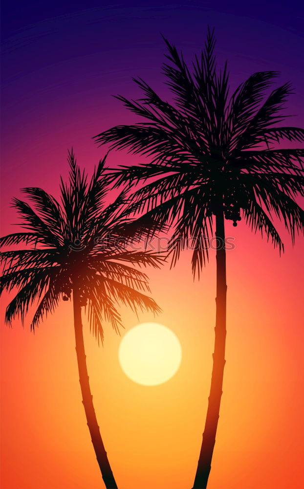 Similar – Image, Stock Photo palm glow Colour photo