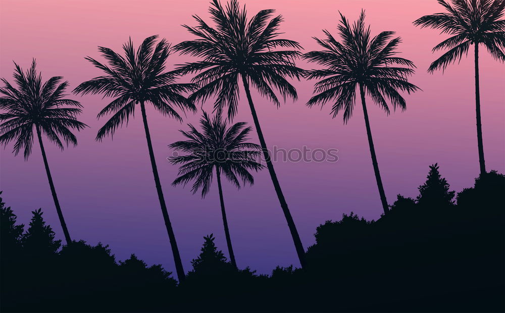 Similar – Image, Stock Photo Skyline of Havana at night with palm tree