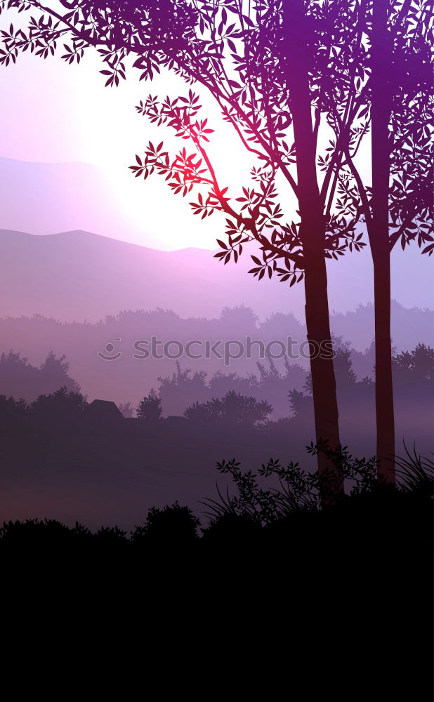 Similar – Image, Stock Photo Sunset Environment Nature