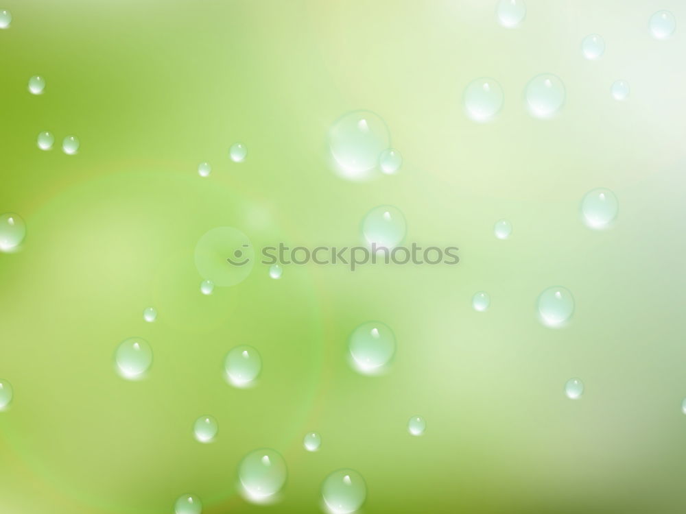 Similar – Image, Stock Photo drop on the green leaf