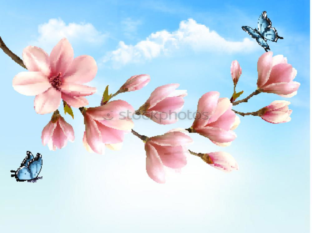 Similar – Image, Stock Photo cherry blossoms Nature