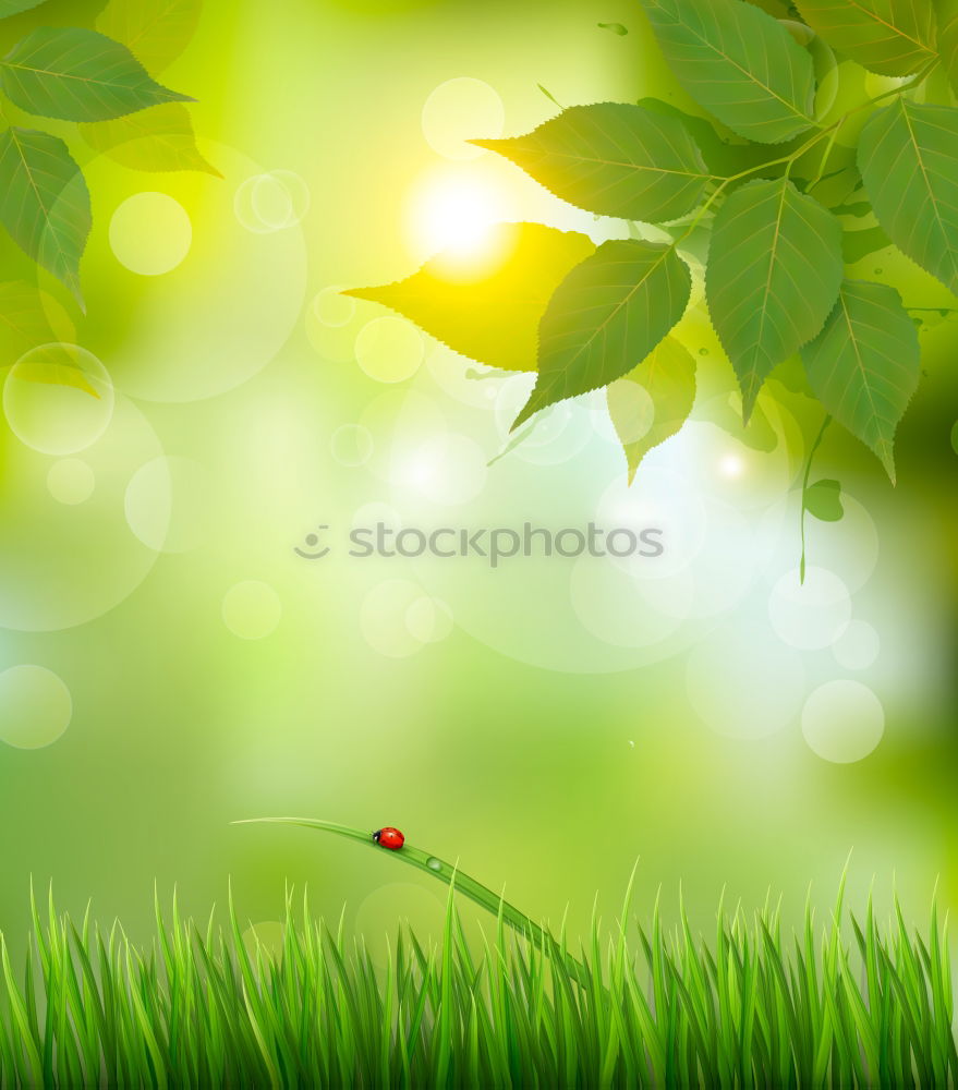 Similar – Foto Bild Bodennähe Apfel Natur