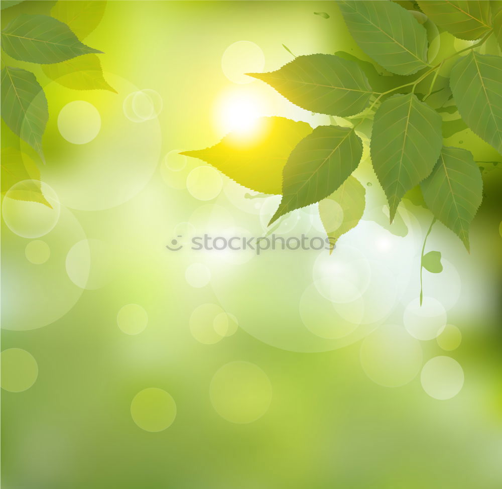 Similar – Image, Stock Photo Love in the grass Nature