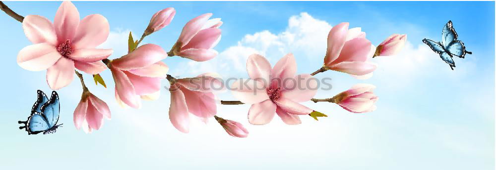 Similar – Image, Stock Photo fresh flower 4 Style