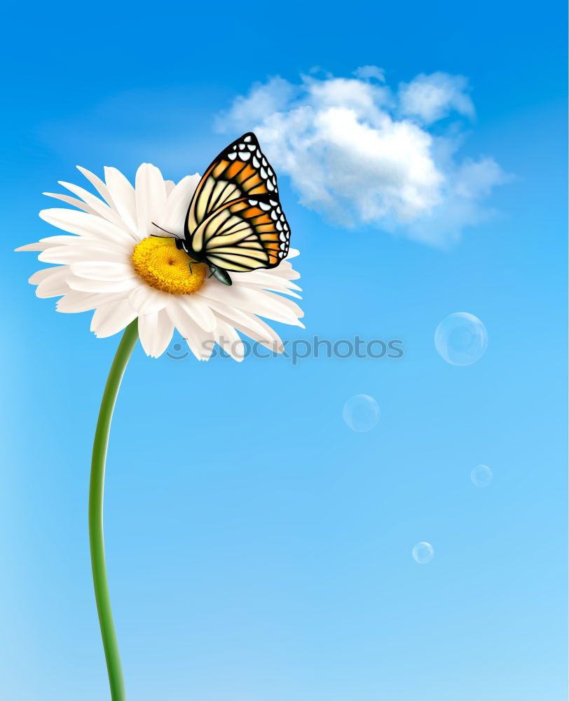 Similar – Flower stock picture with wind