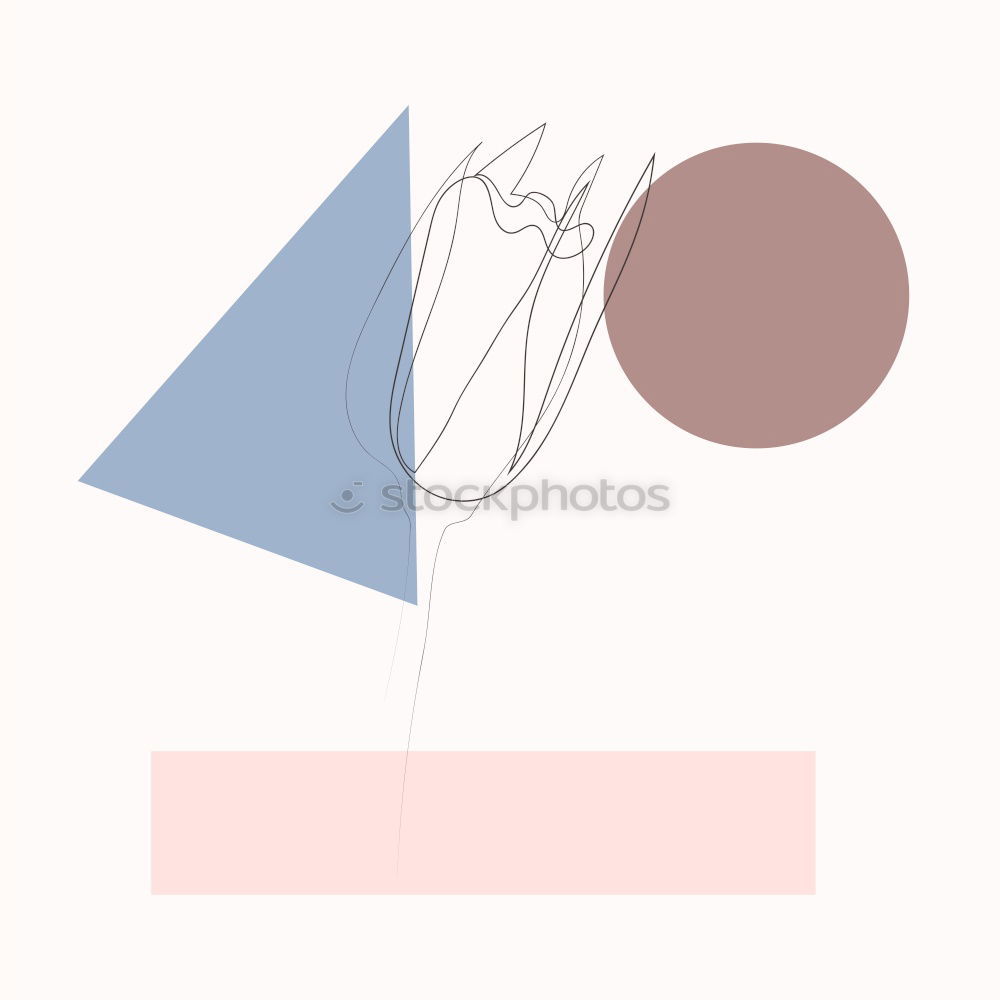 Similar – Image, Stock Photo Round flower frames with pastel pink flowers
