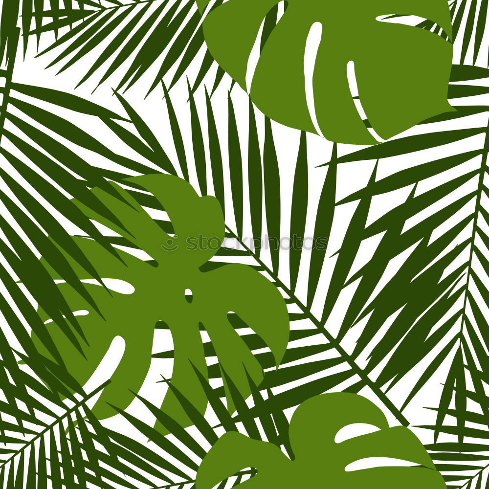 Similar – Textures of Tropical Plants