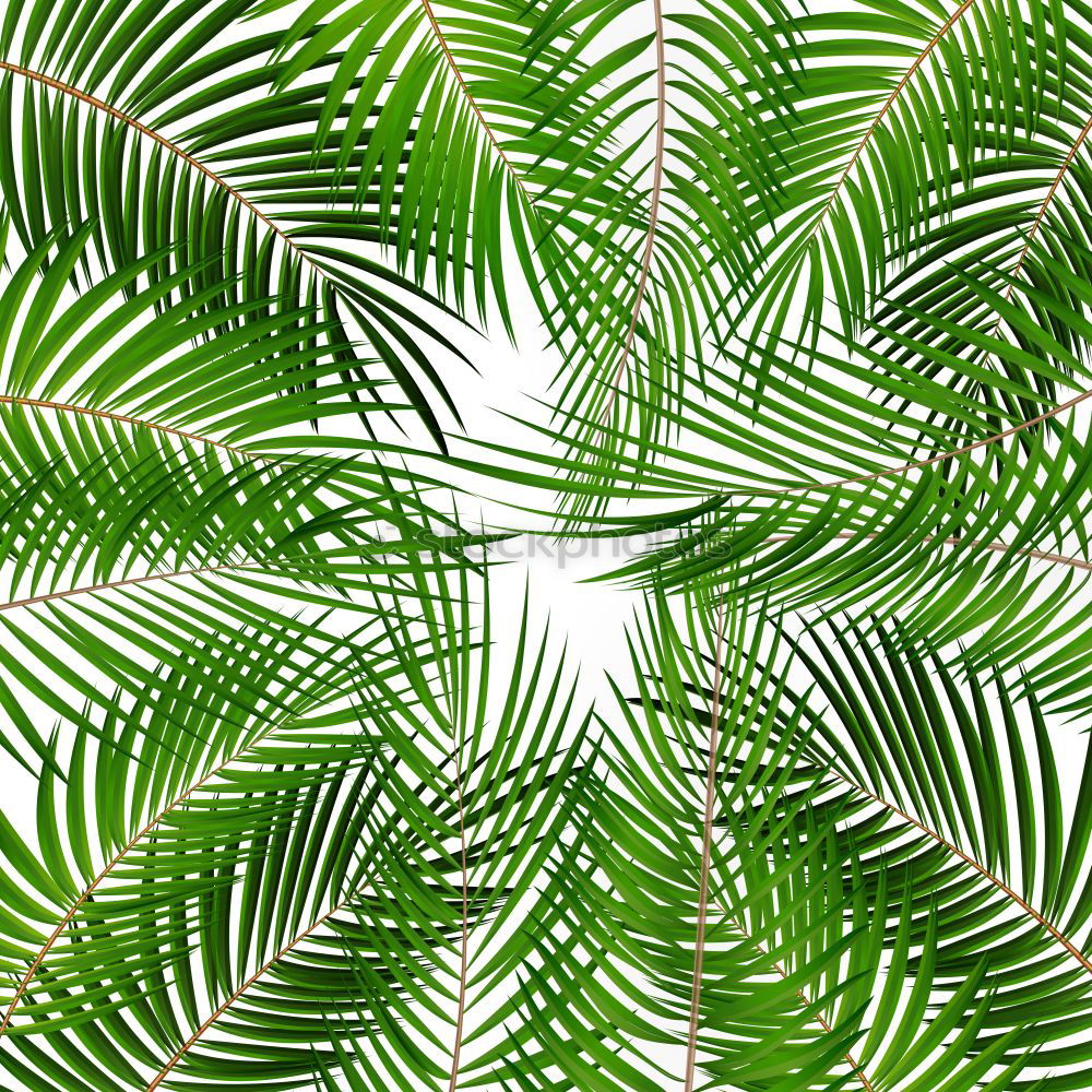 Similar – Textures of Tropical Plants