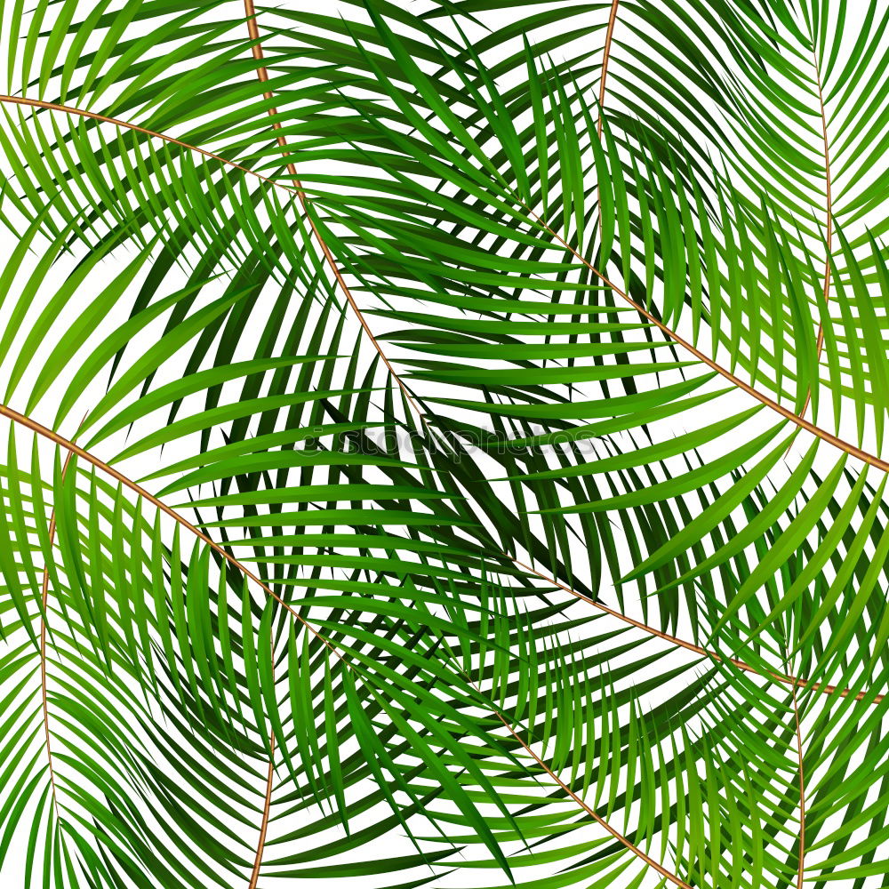 Similar – Textures of Tropical Plants