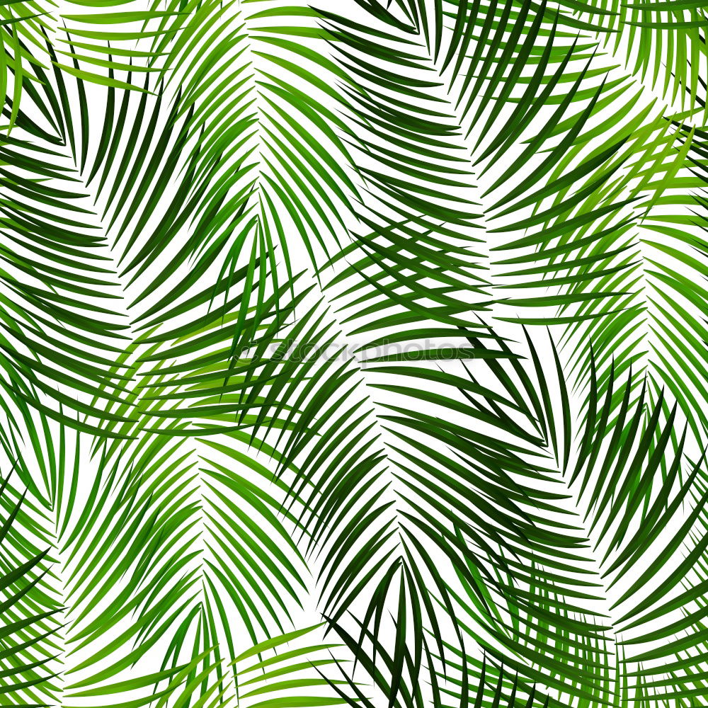 Similar – Textures of Tropical Plants