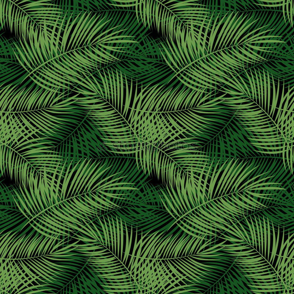 Similar – Image, Stock Photo Top view of green leaves