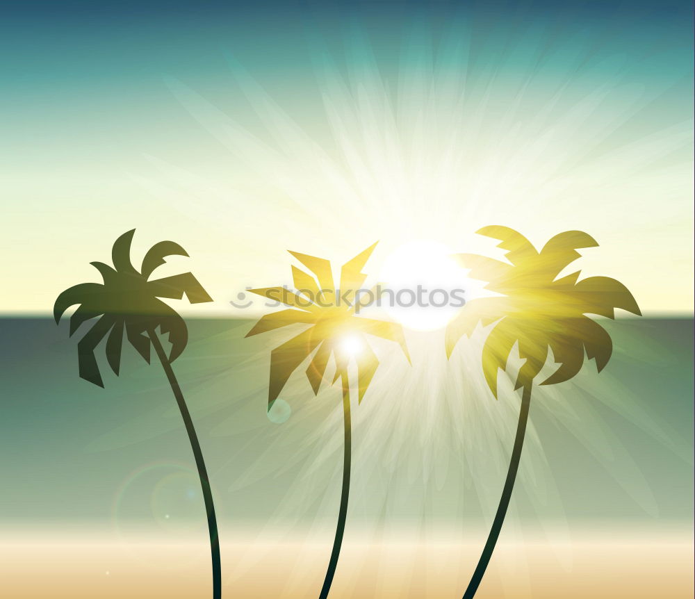 Similar – Image, Stock Photo palm sky Palm tree Summer