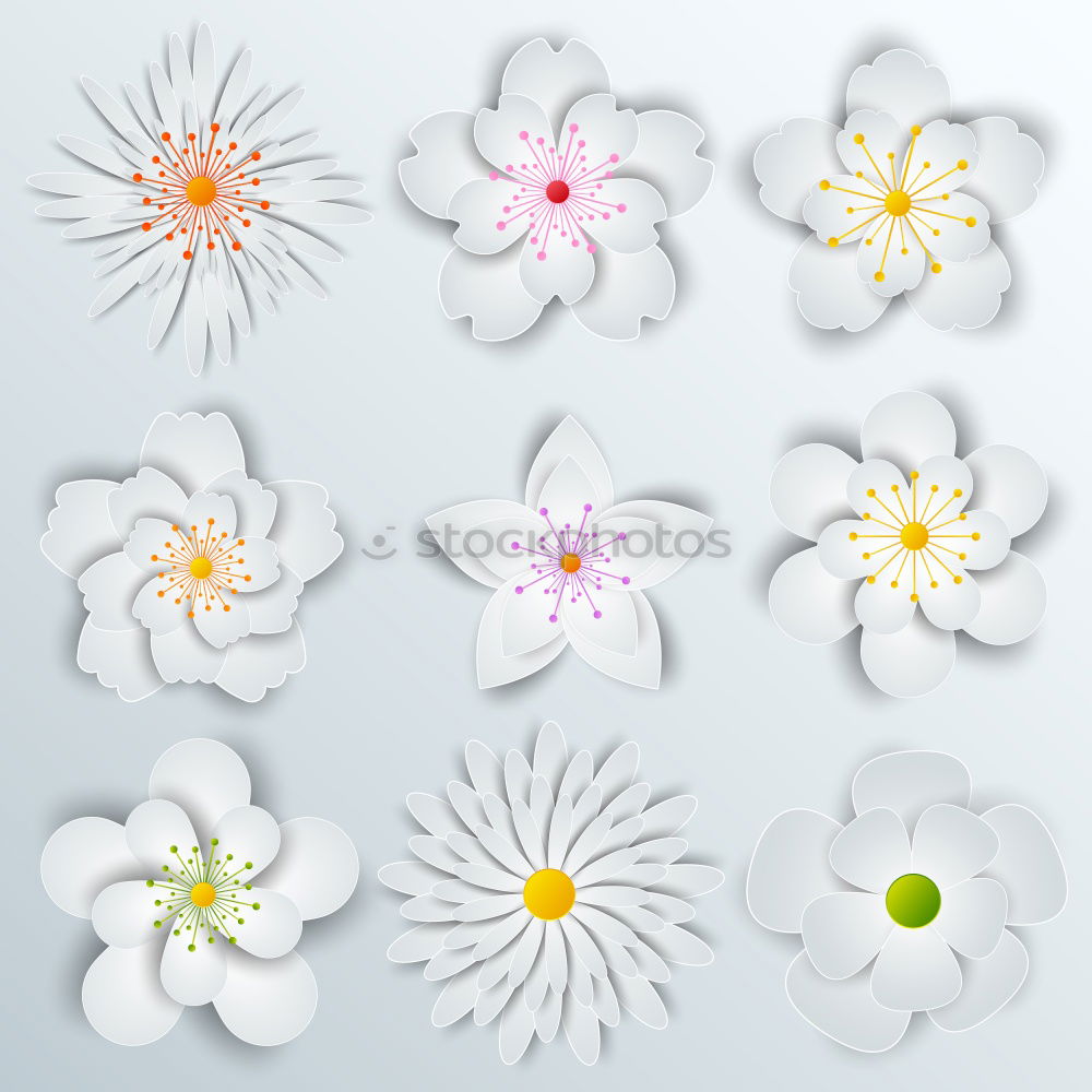 Similar – Image, Stock Photo Pastel pink flower composition