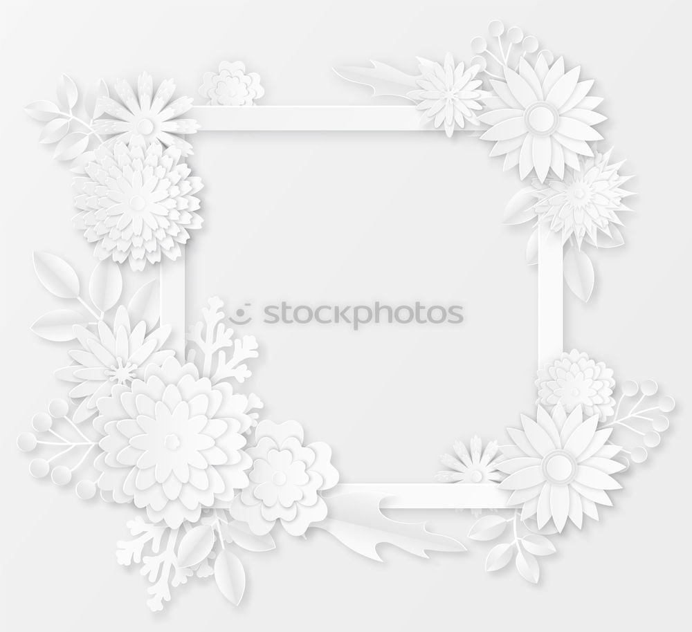 Image, Stock Photo White flowers on white