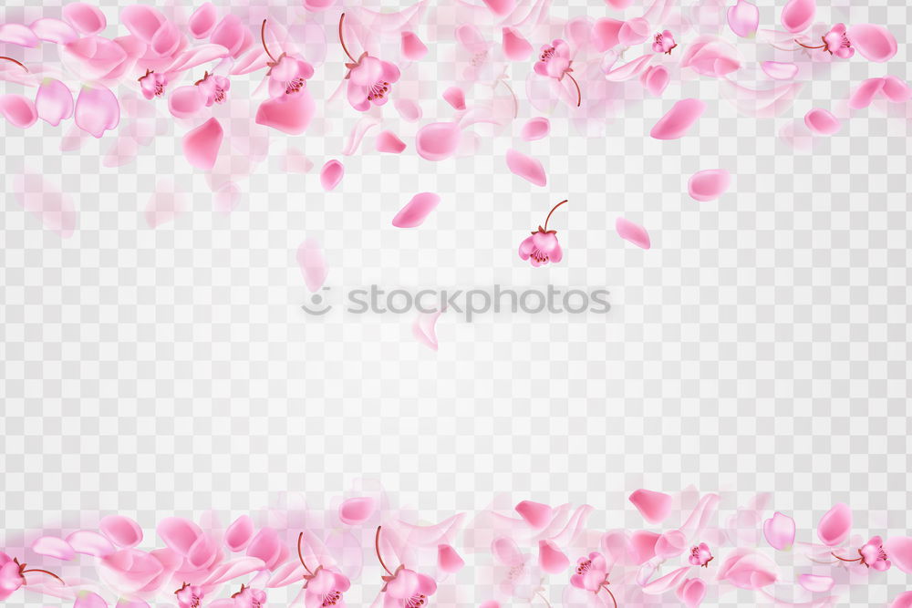 Similar – Image, Stock Photo Pastel pink flowers background frame