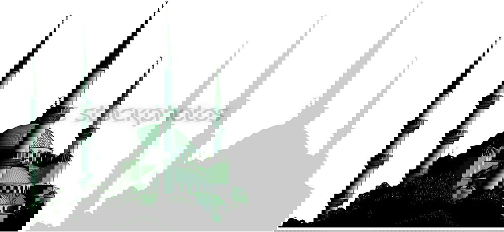 Similar – Foto Bild kings schwarz