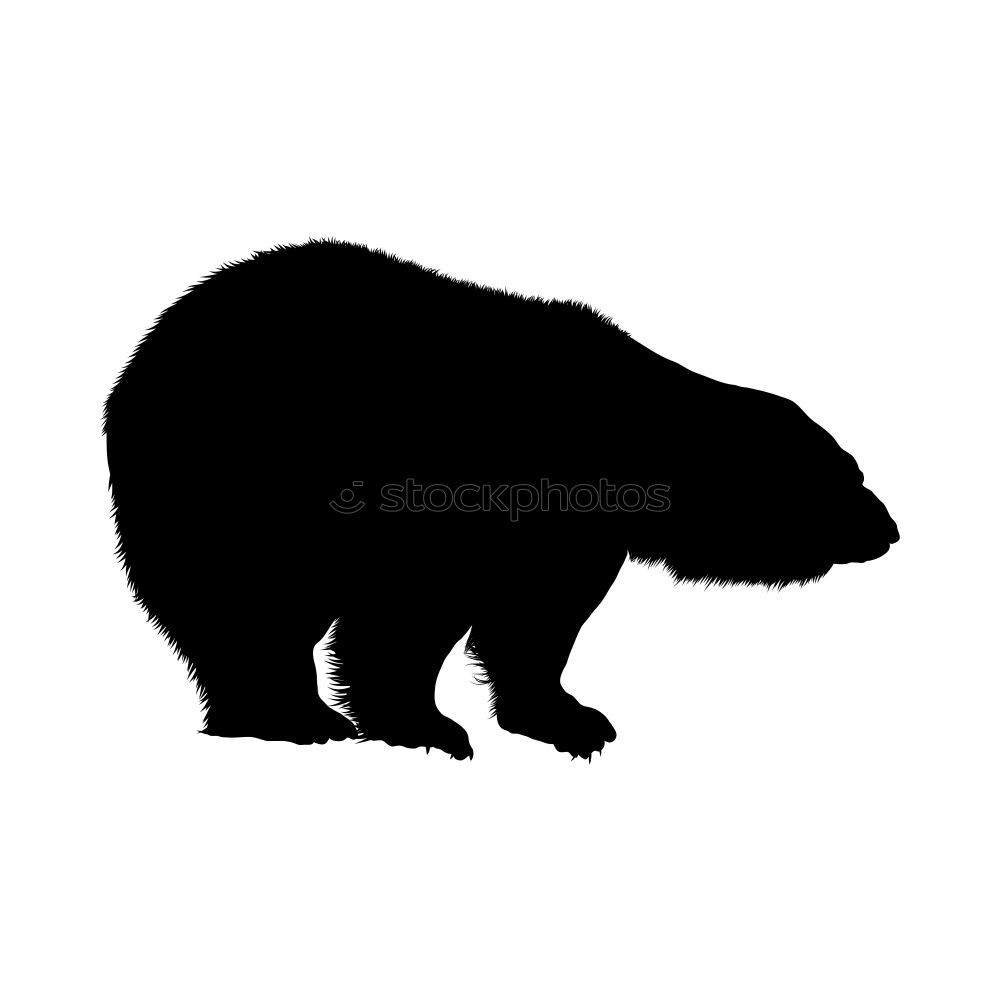 Similar – Image, Stock Photo Please don’t cuddle!