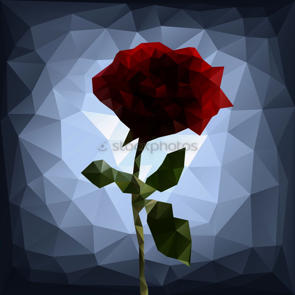 Similar – Image, Stock Photo roses Flower Rose