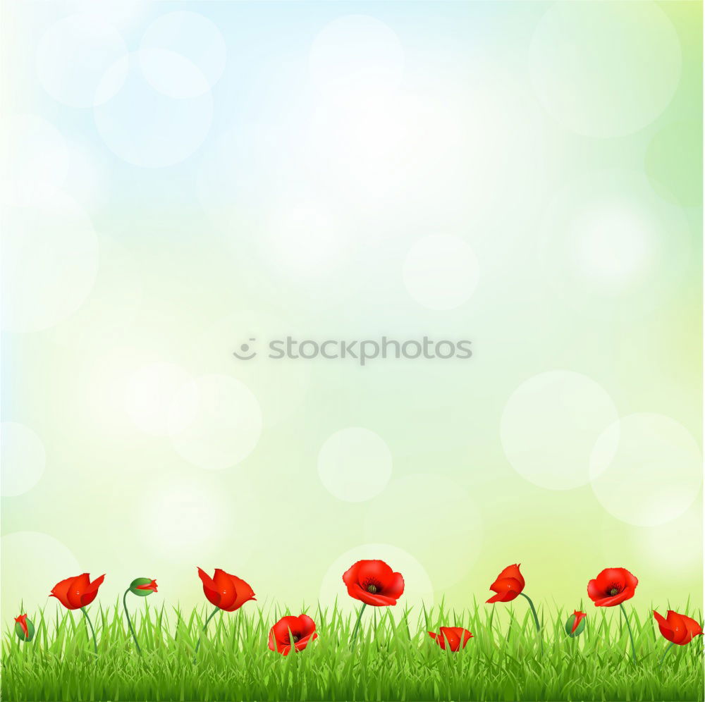 Similar – Image, Stock Photo poppy dream Summer